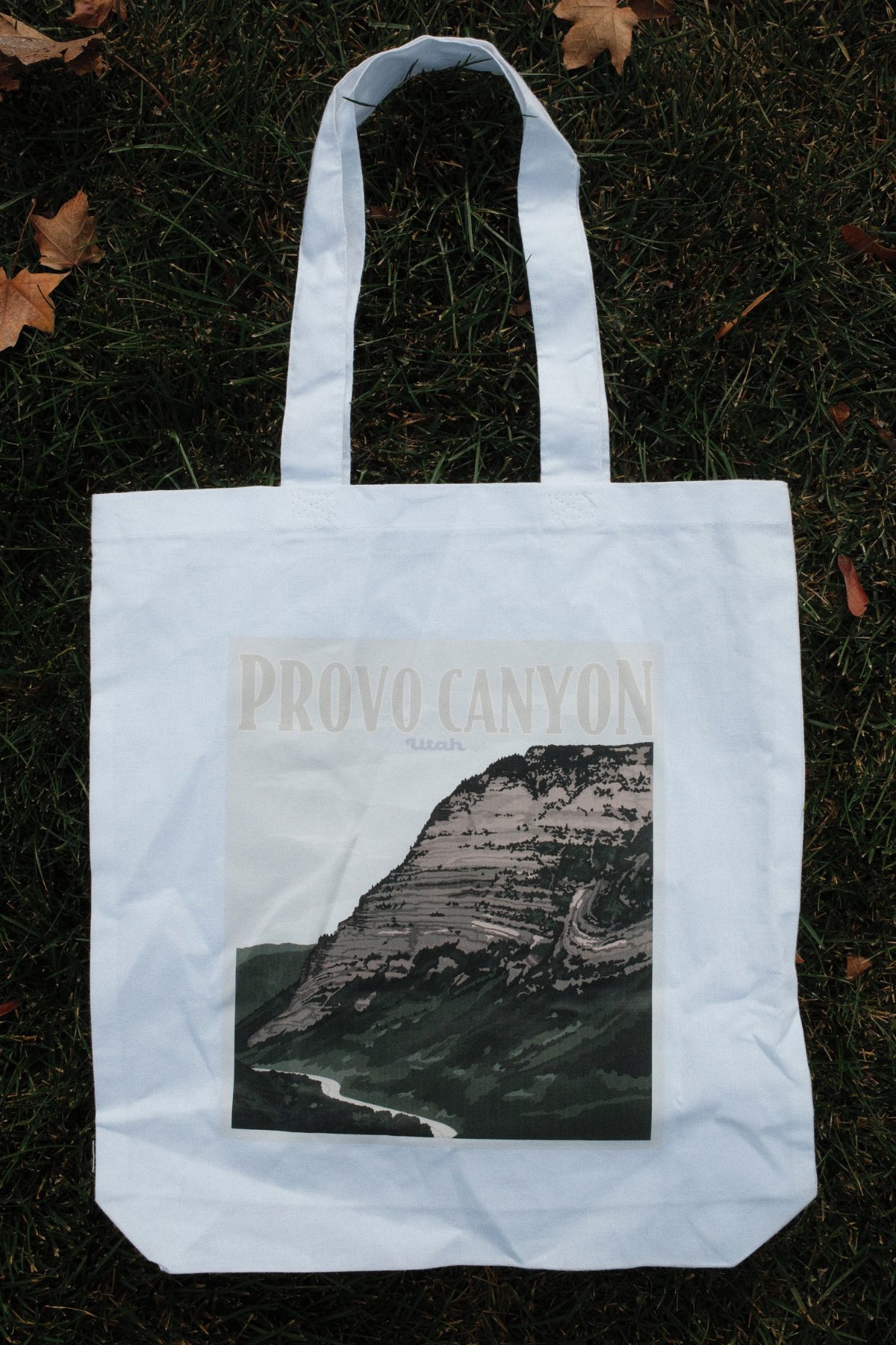Provo Canyon Tote