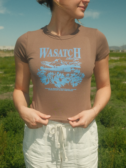 Wasatch Range Baby Tee in Brown