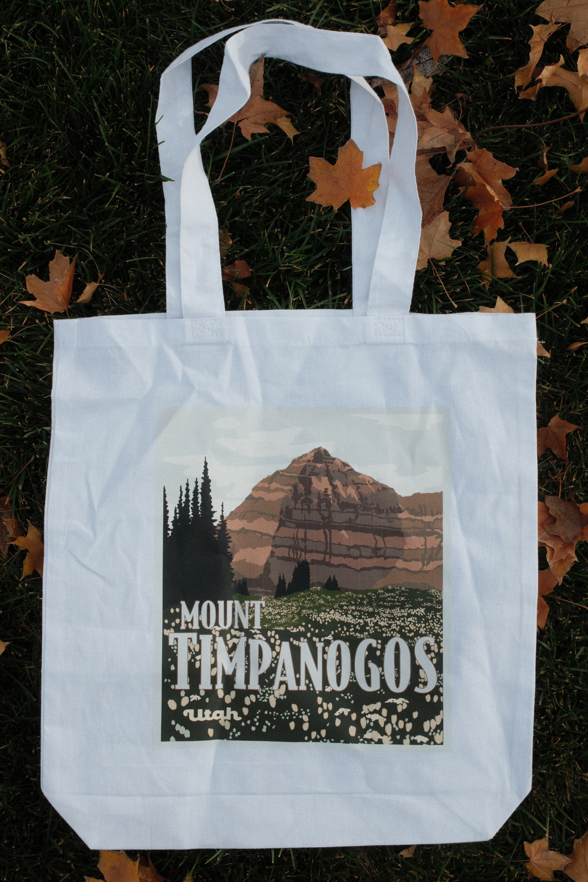 Mount Timpanogos Tote