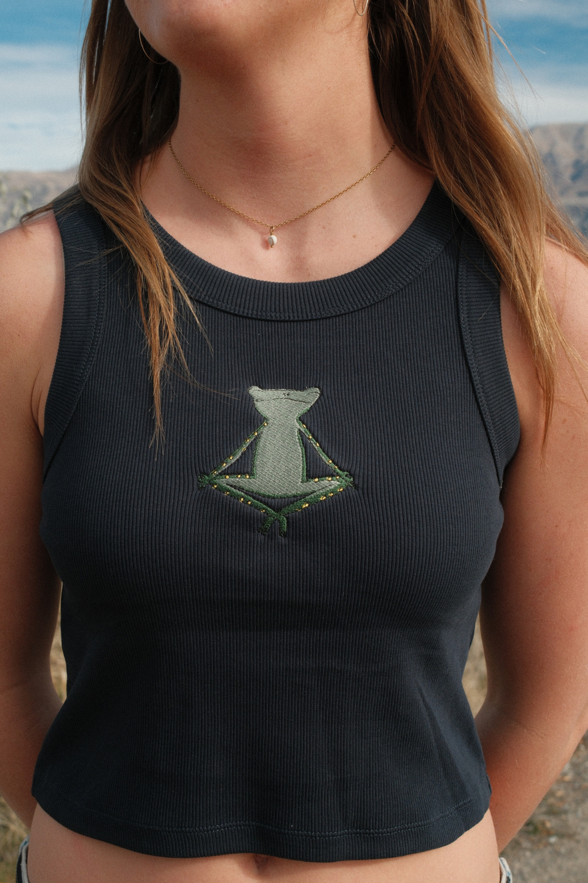 Meditating Frog Tank