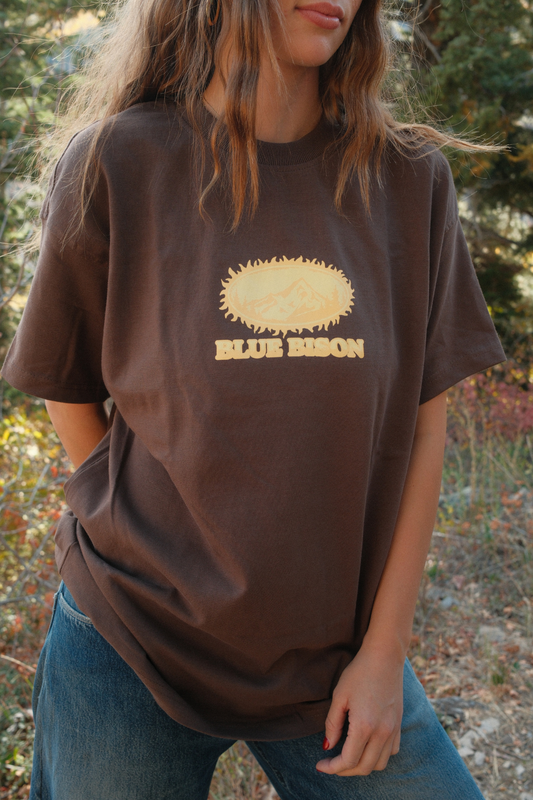 Sunshine Tee in Brown