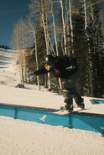 Load image into Gallery viewer, Bison Boarding Hoodie
