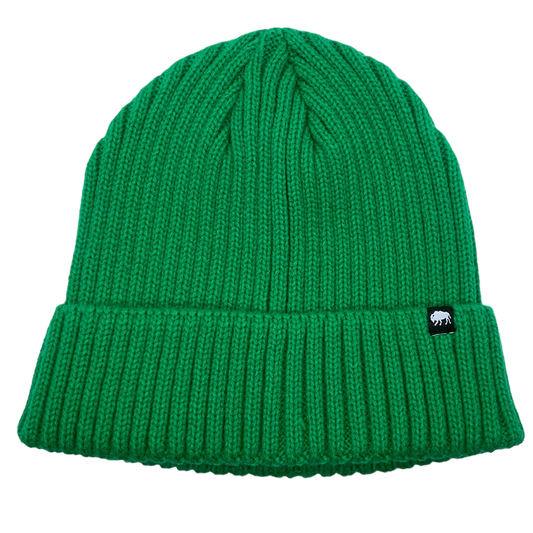 Ribbed Knit Beanie in Green
