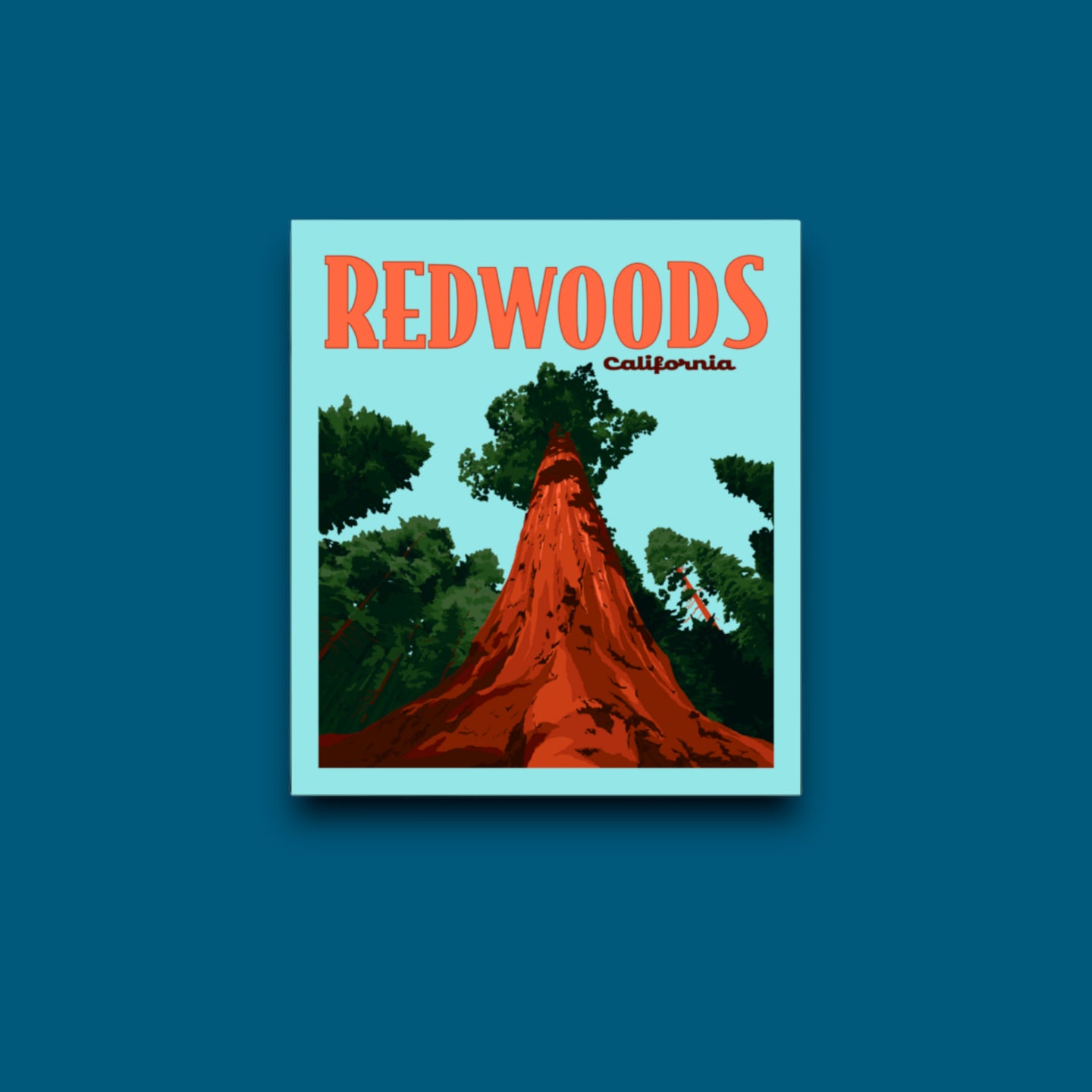 Redwoods National Park, Poster Sticker