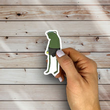 Load image into Gallery viewer, Sad Pickle Ball Frog Sticker (K4)
