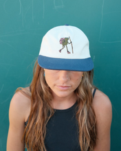 Load image into Gallery viewer, Hiker Frog Hat
