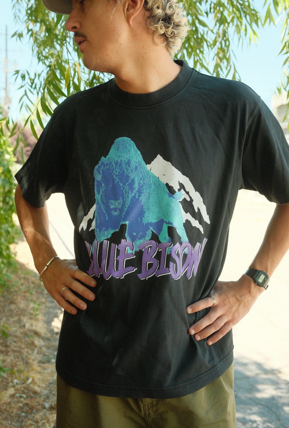 The Icy Bison Tee