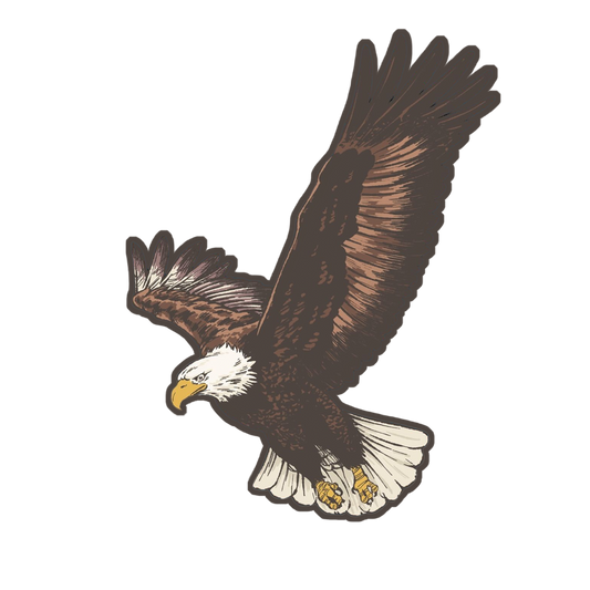 Bald Eagle Sticker