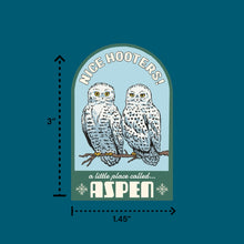 Load image into Gallery viewer, Nice Hooters Aspen Colorado Sticker
