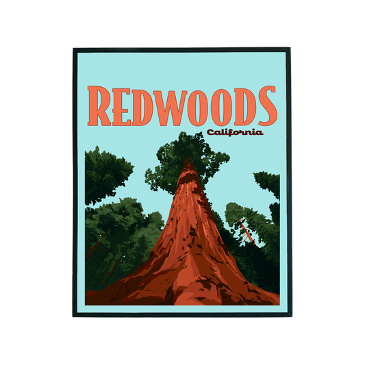 Redwoods Print