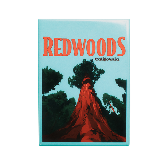 Redwoods California Fridge Magnet
