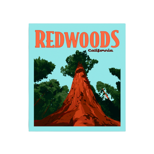 Redwoods National Park California Poster Sticker