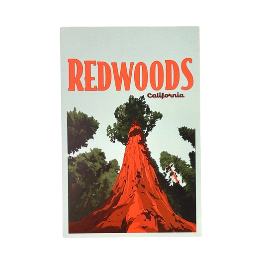 Redwoods Postcard